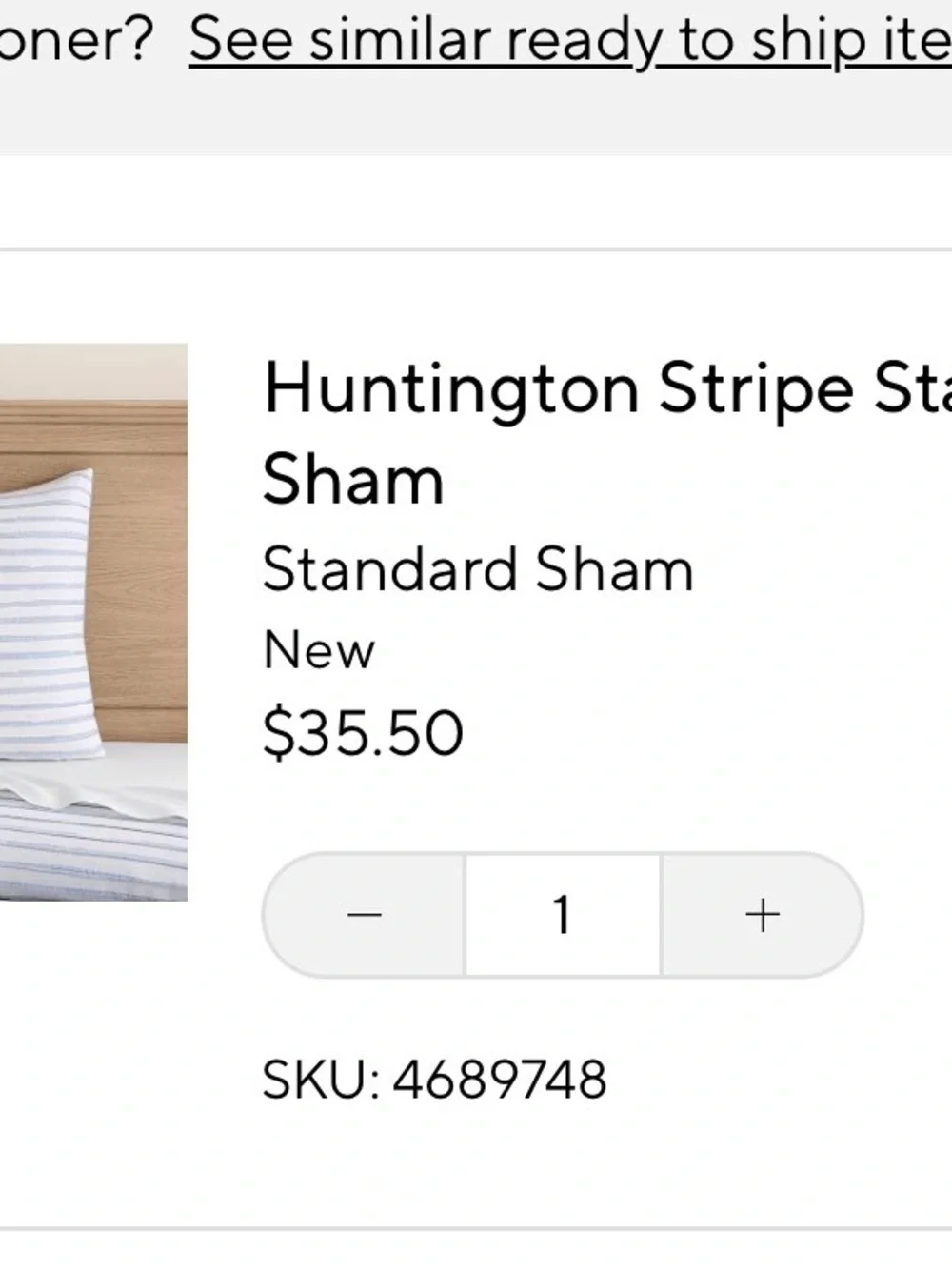 Pottery Barn Teen Huntington Strip (Blue and White) Shams Set of 2
